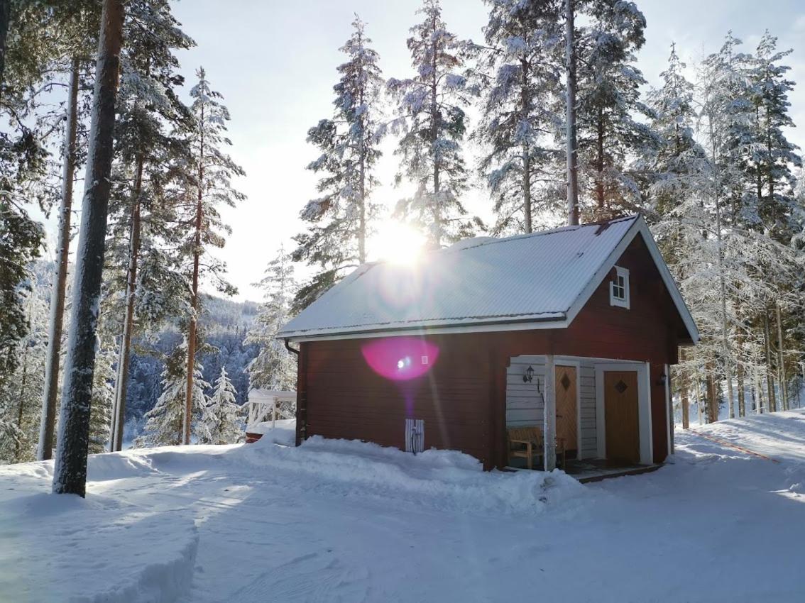 Zorbcenter Holiday Homes Hammarstrand Экстерьер фото
