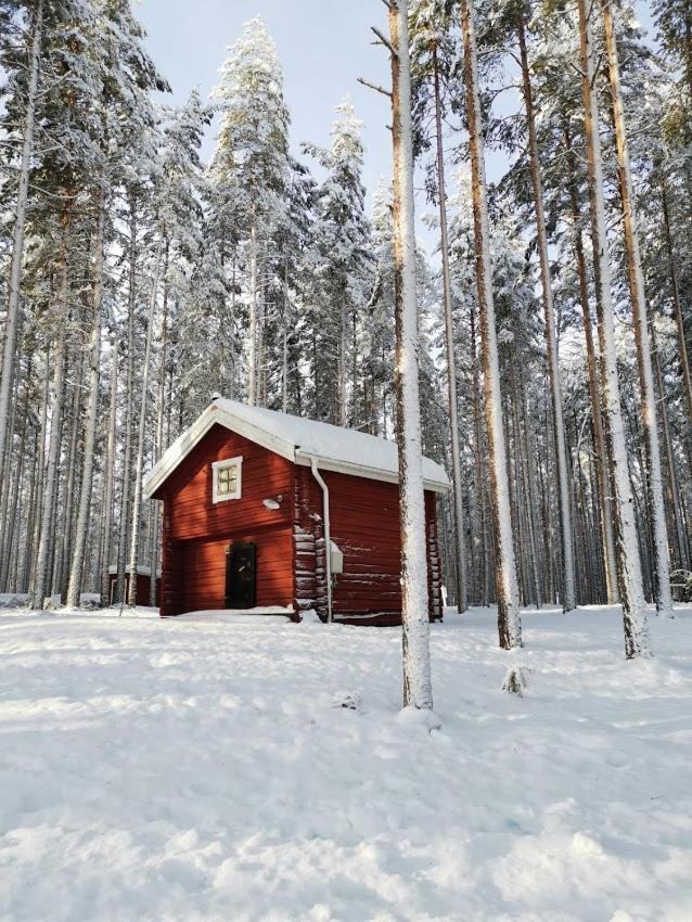 Zorbcenter Holiday Homes Hammarstrand Экстерьер фото