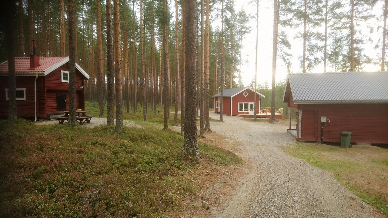 Zorbcenter Holiday Homes Hammarstrand Экстерьер фото